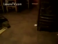 [ Pet Porn Movie ] Video of a plump woman getting some dog jock